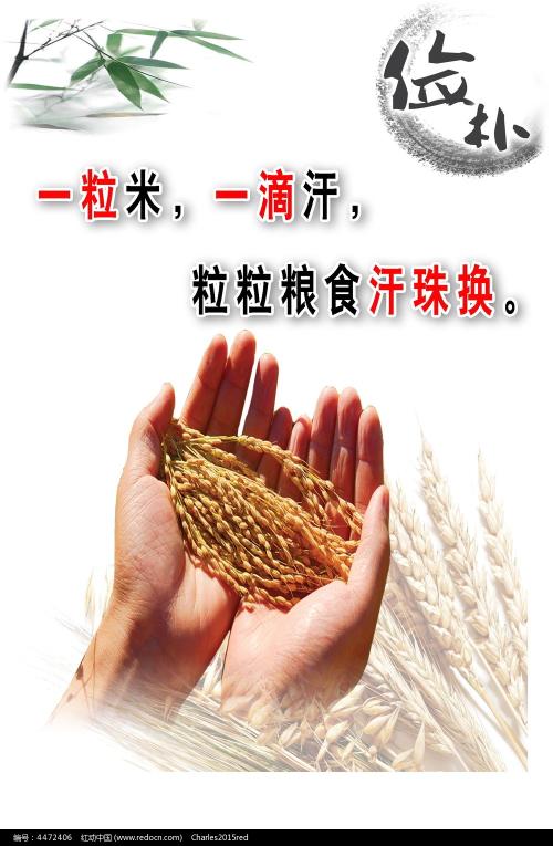 应届毕业生学校出具的学历学位证明